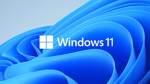 Microsoft Windows 11 Home 64-Bit OEM (DVD)