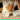 Alternate-Image1 Image for Logitech Lift Vertical Ergonomic Mouse, Wireless, Bluetooth or Logi Bolt USB receiver, Quiet clicks, 4 buttons, Off-white