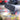Alternate-Image5 Image for SanDisk Professional PRO-G40 2 TB Portable Rugged Solid State Drive - External - PCI Express NVMe