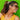 Alternate-Image6 Image for JLab Go Air PopTrue Wireless Earbuds