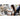 Alternate-Image16 Image for Microsoft Surface Pro (12th Edition) Copilot+ PC Tablet - 13" - vPro Technology - 16 GB - 512 GB SSD - Windows 11 Pro - Platinum - 1 - TAA Compliant