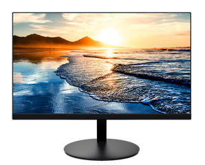 Plannar 22" FHD Monitor with HDMI & VGA (96-Count School Purchase)