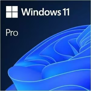 Microsoft Windows 11 Pro 64-Bit OEM (DVD)